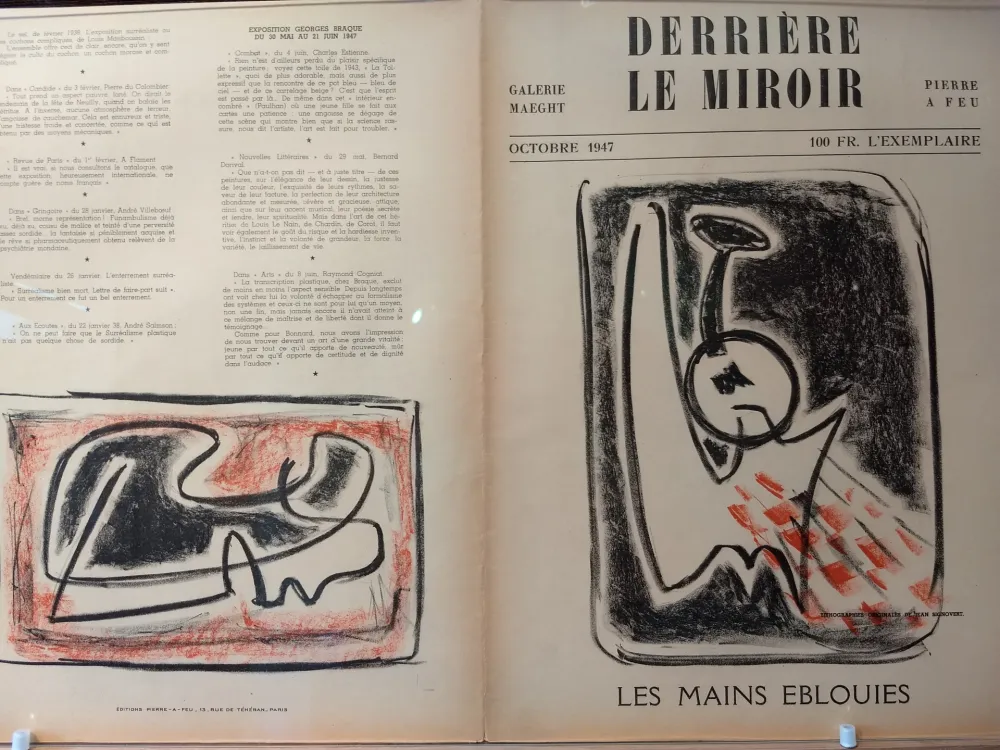 Geïllustreerd Boek Signovert - DLM no5