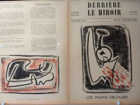 Geïllustreerd Boek Signovert - DLM no5