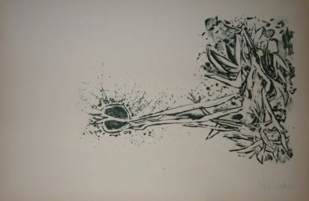 Lithografie Silva - Sans titre