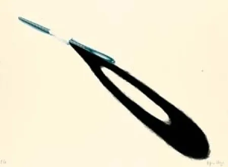 Lithografie Silveira - Agulha 