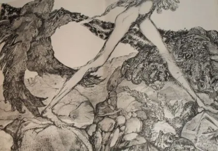 Geïllustreerd Boek Simon - Die Suchende / Celle qui cherche