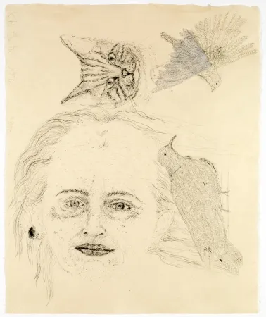 Lithografie Smith - Ginzer and the birds