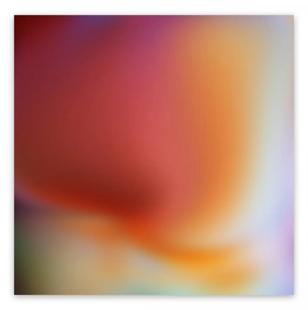 Fotografie Snell - Bleed # 202009