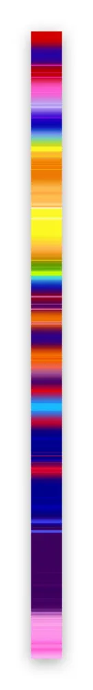 Fotografie Snell - Lumina # 202101 