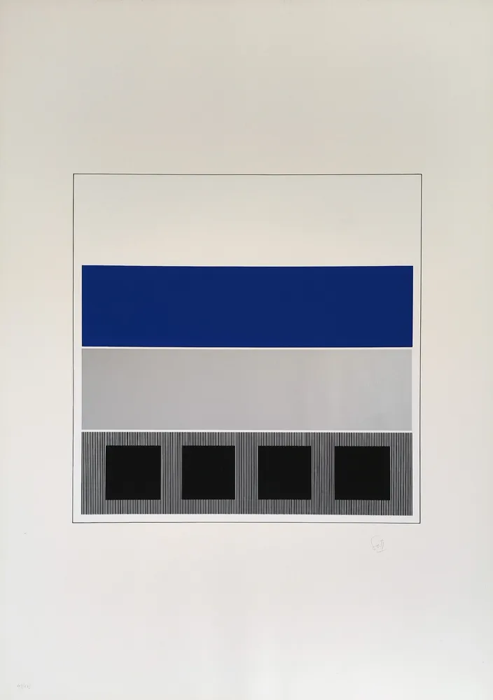 Zeefdruk Soto - Caroni