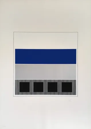 Zeefdruk Soto - Caroni