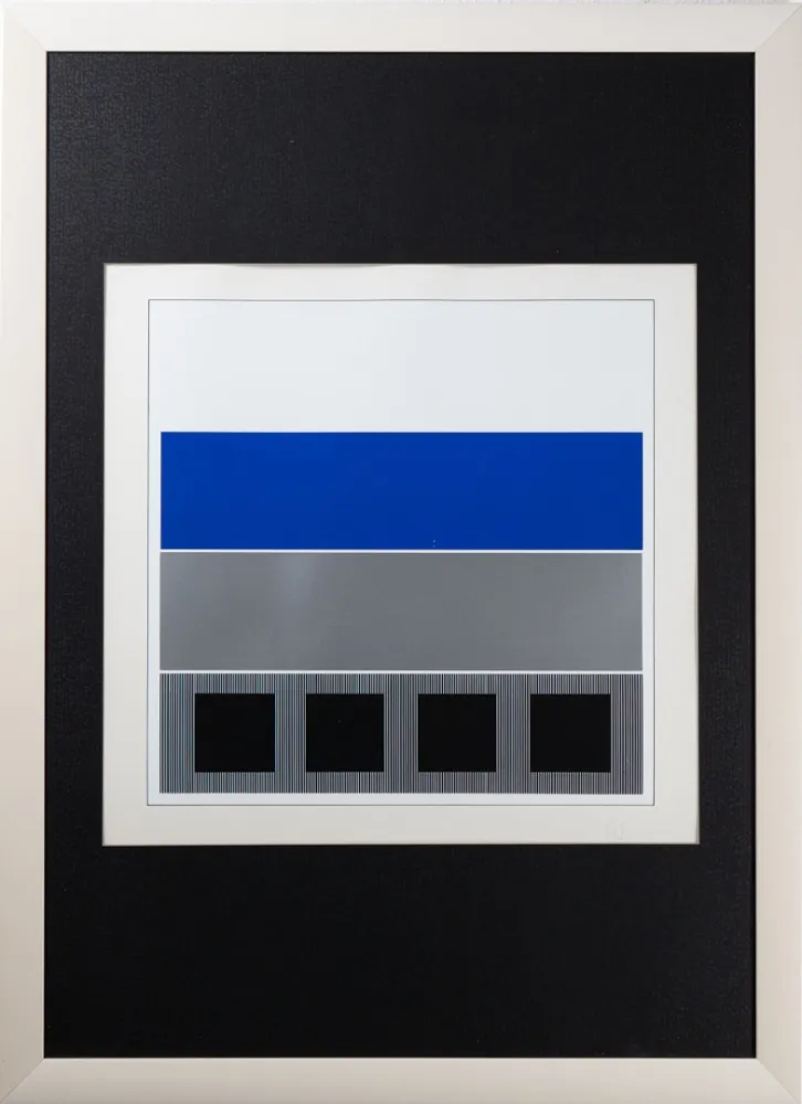 Zeefdruk Soto - Caroni