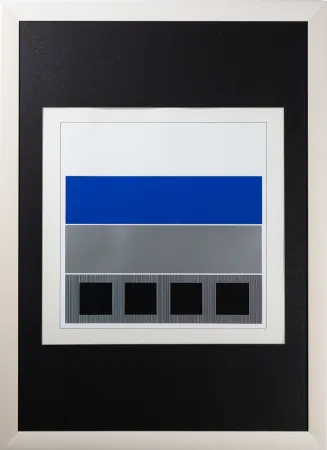 Zeefdruk Soto - Caroni