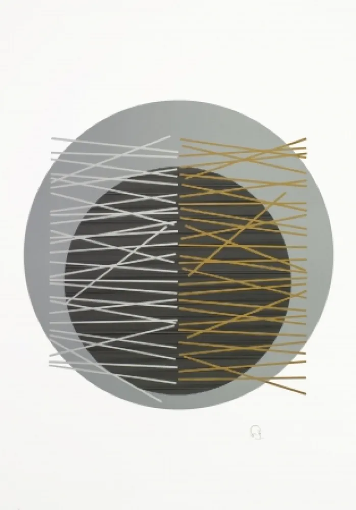 Zeefdruk Soto - Caroni 