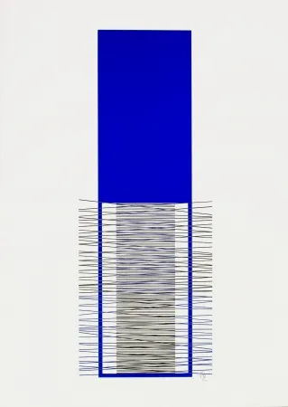 Zeefdruk Soto - Caroni (Blue) 