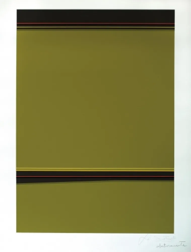 Zeefdruk Soto - Composición