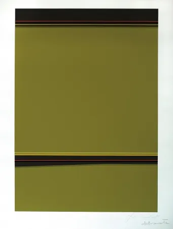 Zeefdruk Soto - Composición