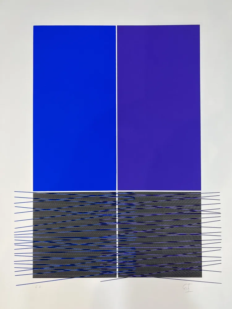 Zeefdruk Soto - Composition