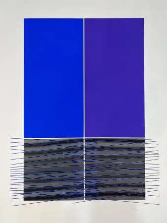 Zeefdruk Soto - Composition