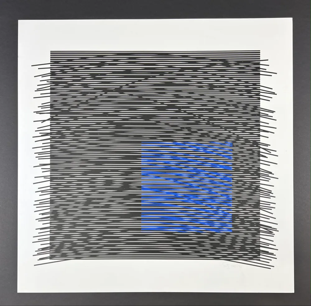 Zeefdruk Soto - Composition