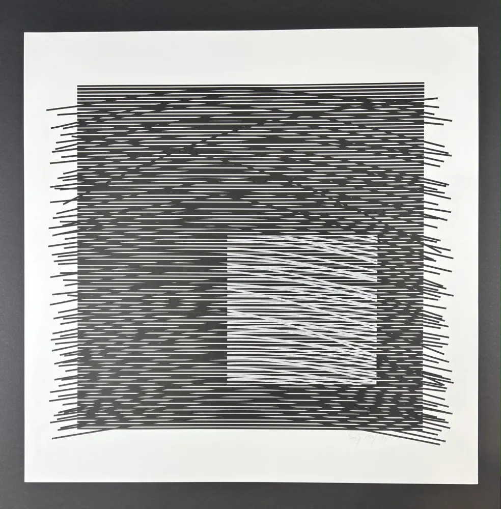 Zeefdruk Soto - Composition