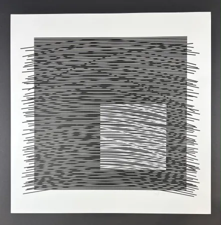 Zeefdruk Soto - Composition