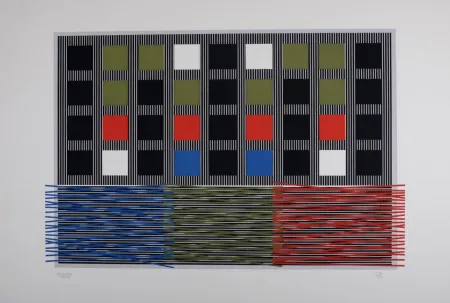 Zeefdruk Soto - Composition