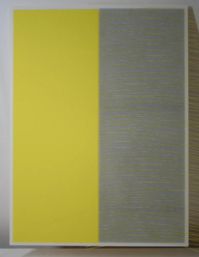 Zeefdruk Soto - Screen Print A