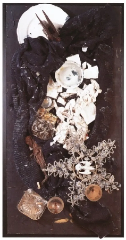 Geen Techniek Spoerri - Büsser-Jacke als Vogelfrass