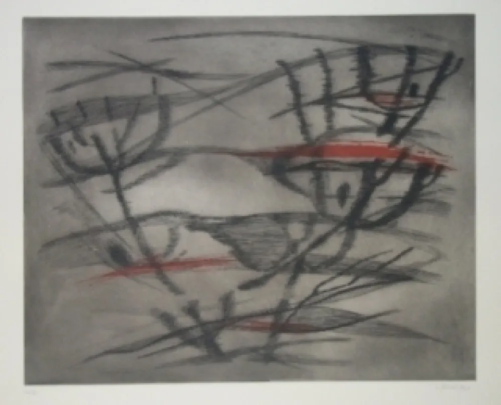 Ets En Aquatint Springer - Plante lunaire