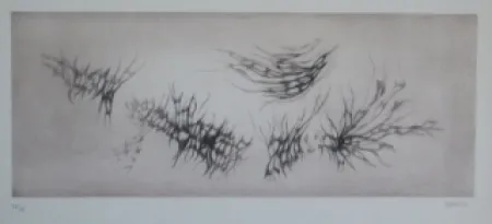 Ets En Aquatint Springer - Racines