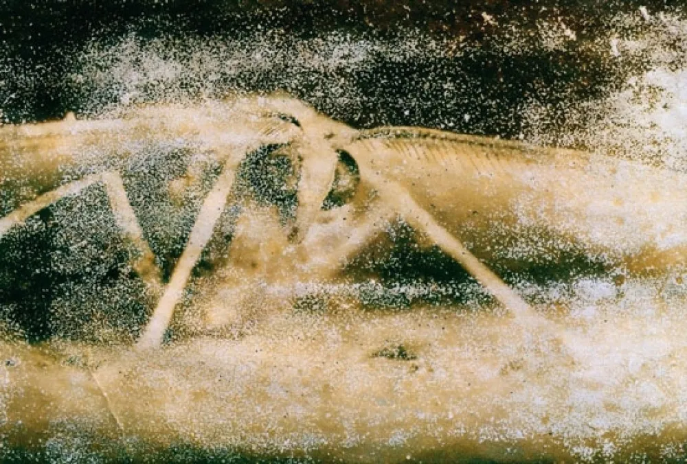 Fotografie Starn - Atractted to Light 19 (Ephemera)