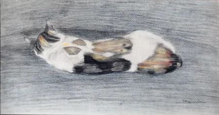 Lithografie Steinlen - Chats et Autres Bêtes