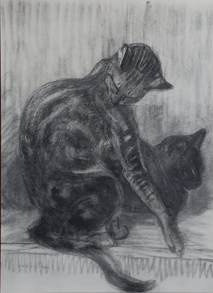 Lithografie Steinlen - Chats et Autres Bêtes