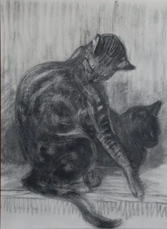 Lithografie Steinlen - Chats et Autres Bêtes
