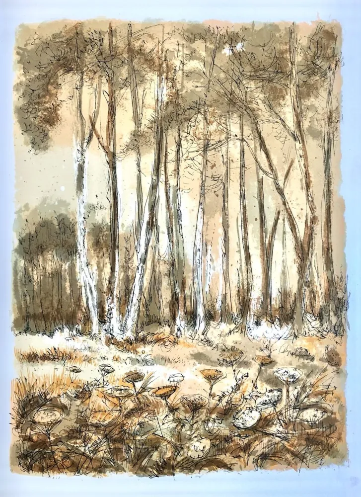 Lithografie Steinlen - Forêt voisine