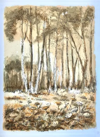Lithografie Steinlen - Forêt voisine