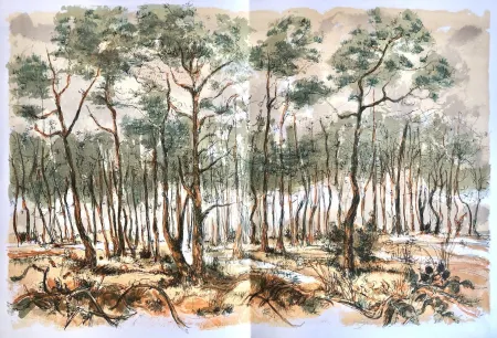 Lithografie Steinlen - Forêt voisine