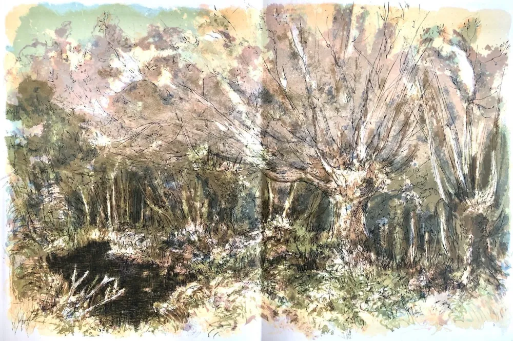 Lithografie Steinlen - Forêt voisine