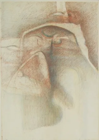 Geïllustreerd Boek Stradella  - Vedo coi loro occhi ciechi