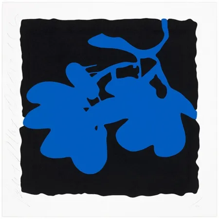 Zeefdruk Sultan - Blue, May 10, 2012