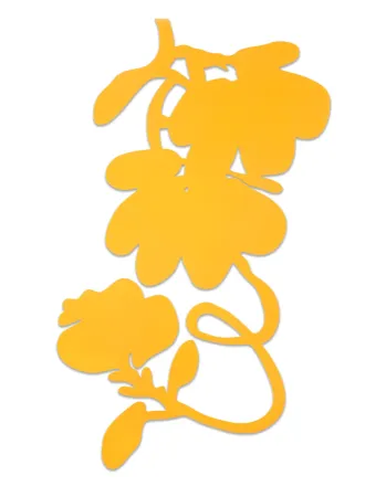 Multiple Sultan - Lantern Flowers (Yellow)