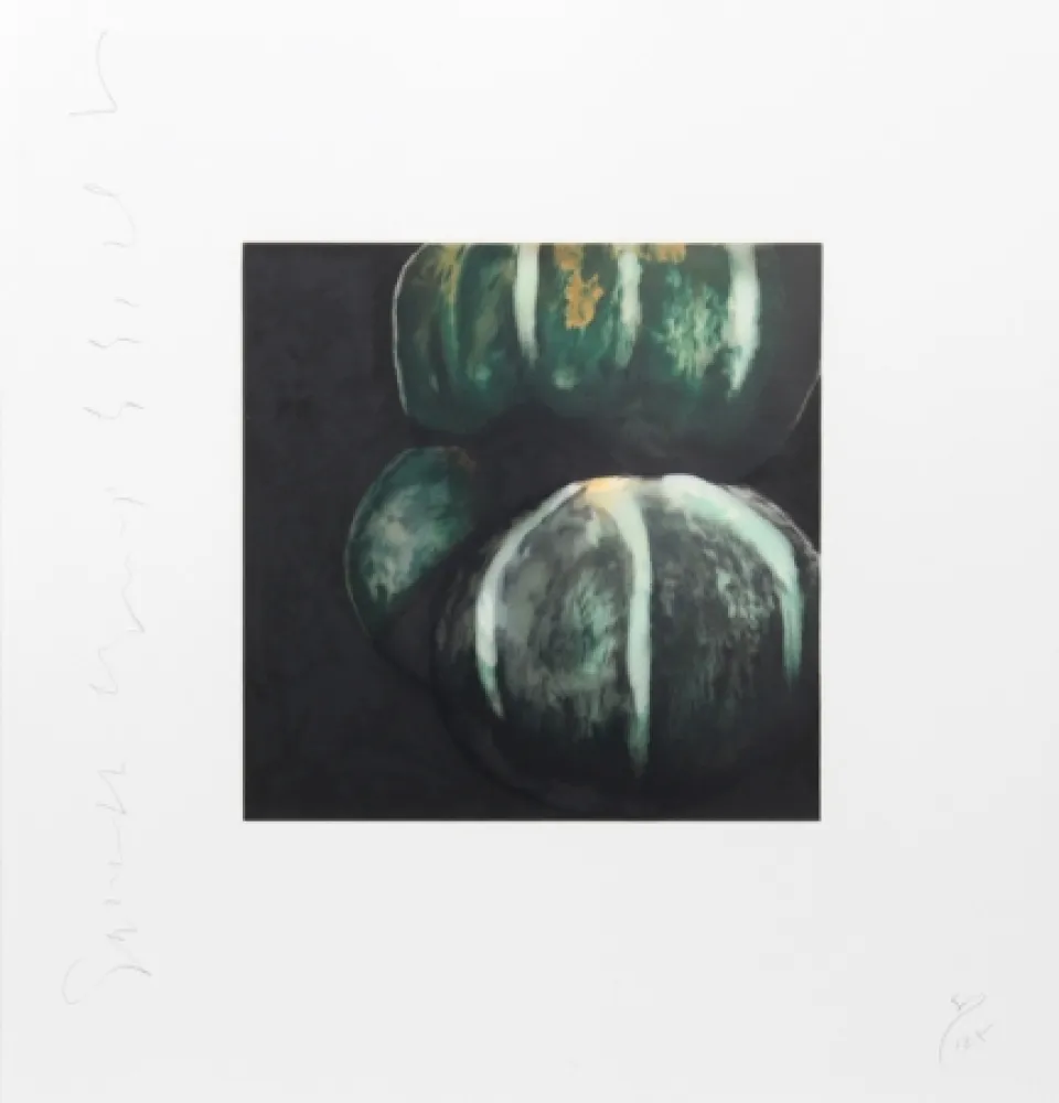 Zeefdruk Sultan - Squash