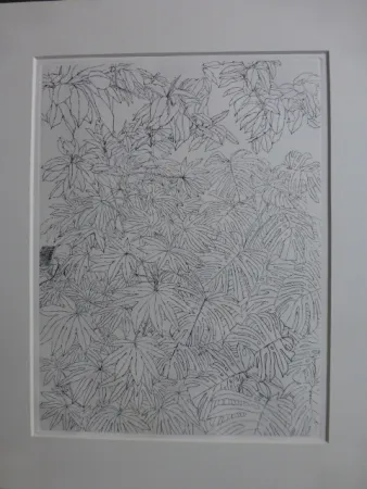 Ets Szafran - Feuillages ,1977