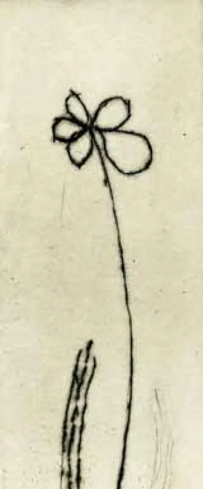 Ets Tachibana  - TOT 48