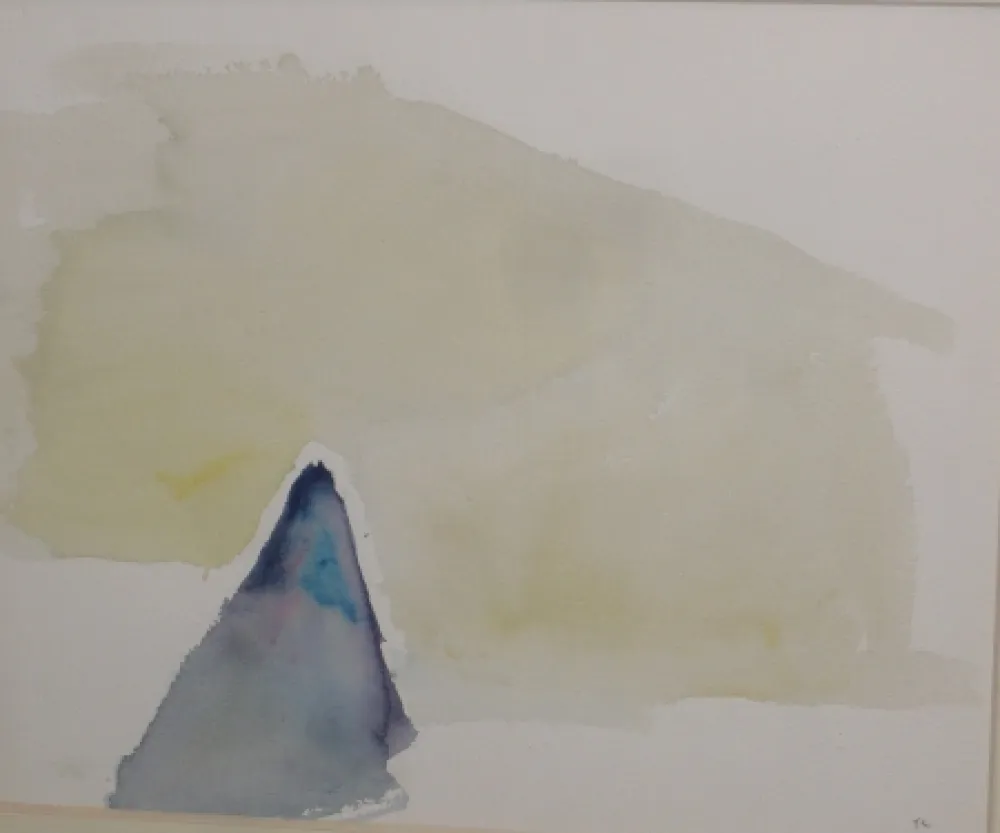 Geen Techniek Tal Coat - Composition