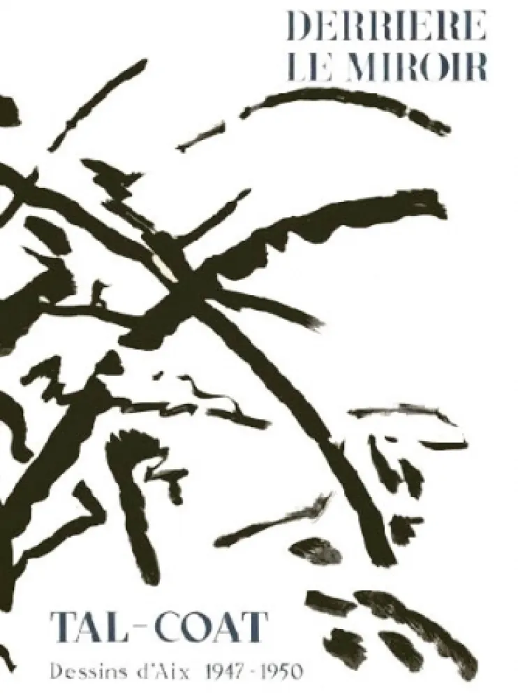Geïllustreerd Boek Tal Coat - Derriere Le Miroir N°120