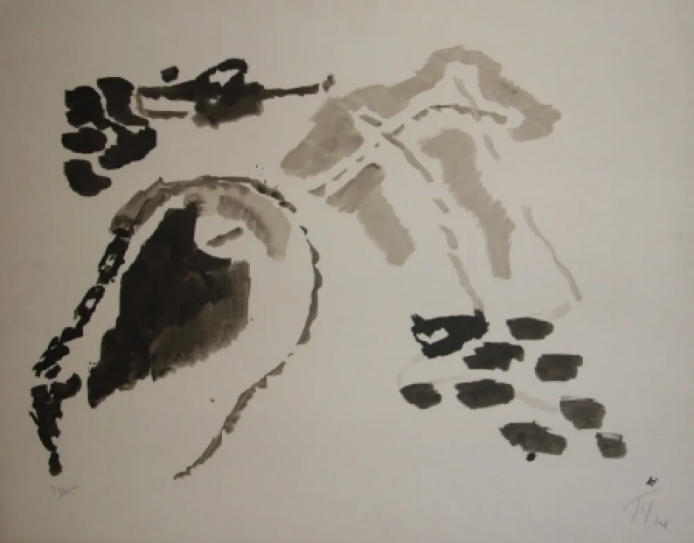 Lithografie Tal Coat - Fonds rocheux II