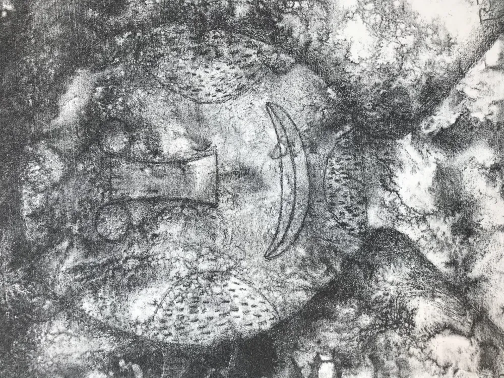 Lithografie Tamayo - TETE