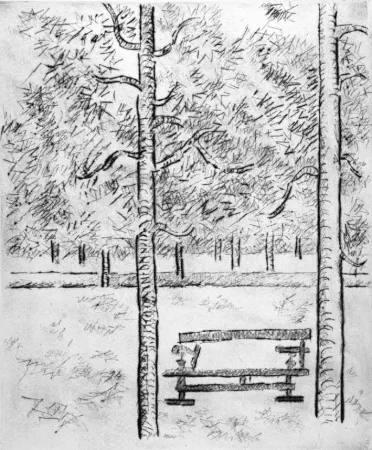 Droge Naald Tamburi - La panchina