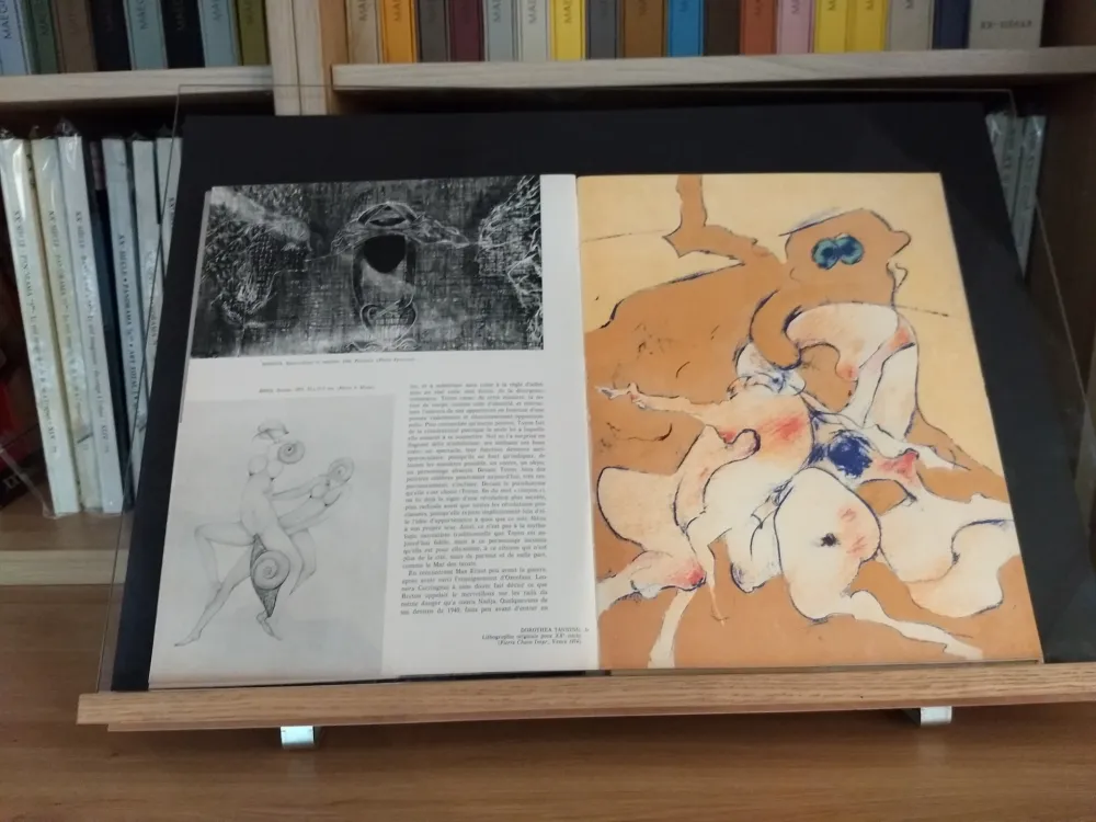 Geïllustreerd Boek Tanning - No 24