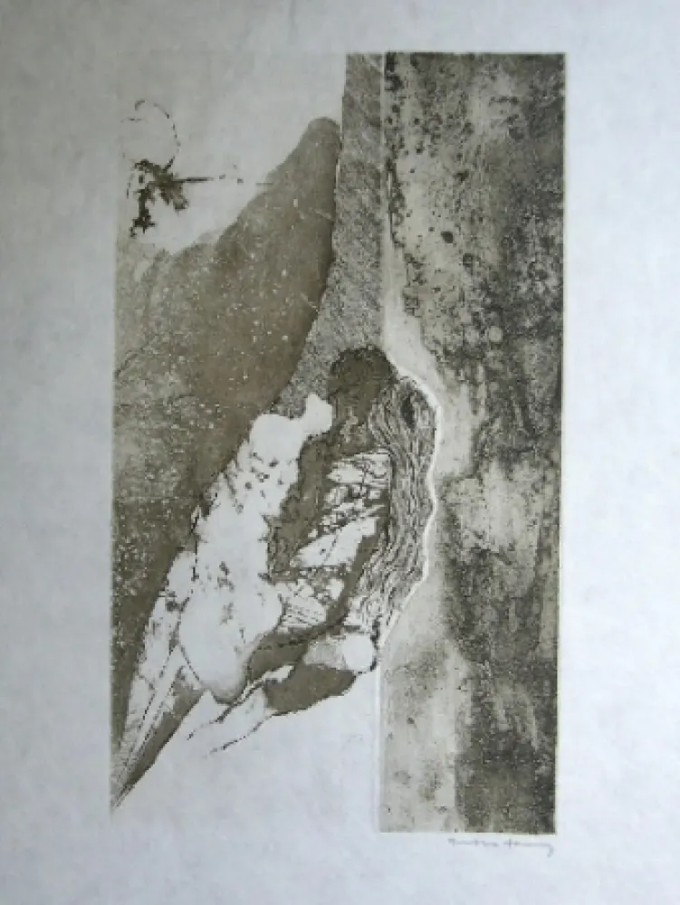 Aquatint Tanning - Sans titre