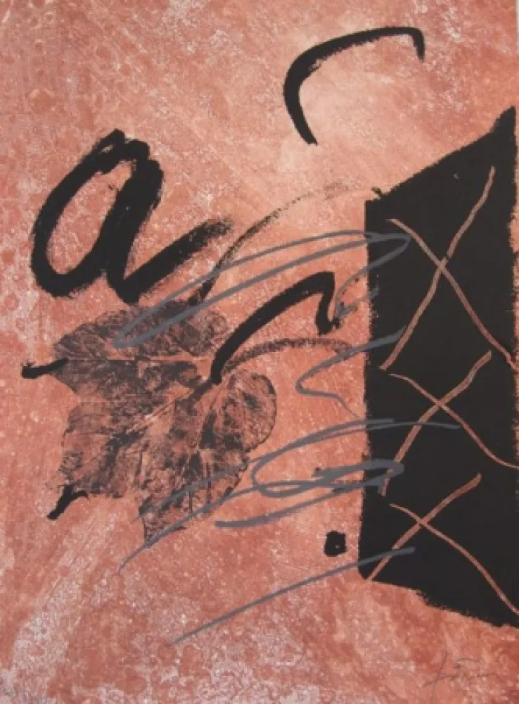 Ets Tàpies - BOIS DES CERFS (Libro)