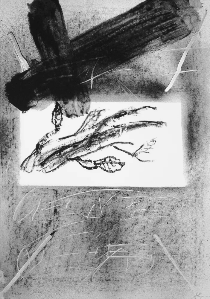 Lithografie Tàpies - Branca i creu