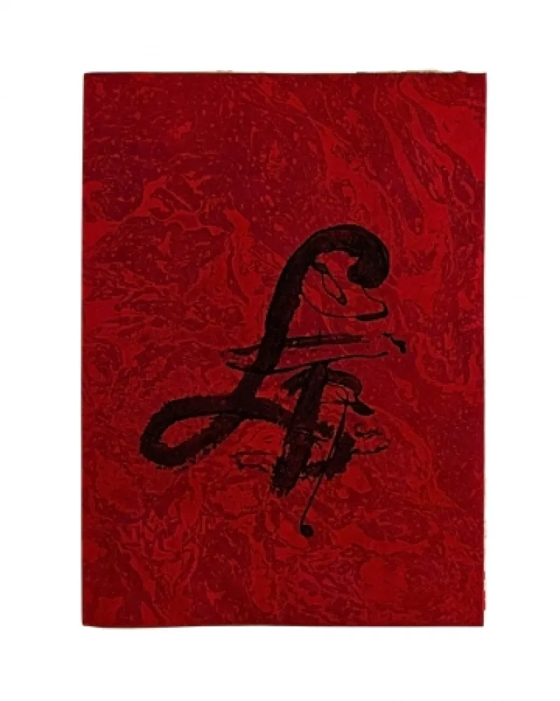 Geïllustreerd Boek Tàpies - Carrer de Wagner